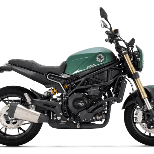 LEONCINO 800