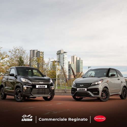 COMMERCIALEREGINATO.LIGIER.IT